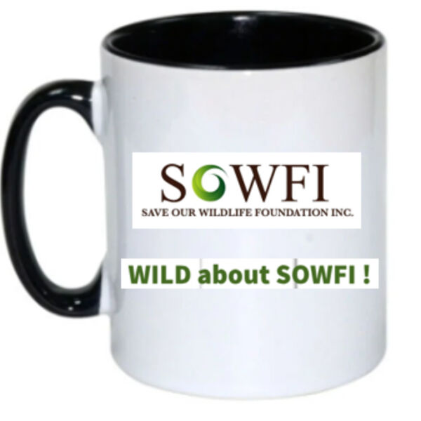 STYLISH BLACK RIM MUG - WILD about SOWFI ! Thumbnail