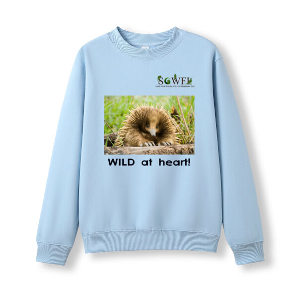 youth long sleeve - WILD at heart! Thumbnail